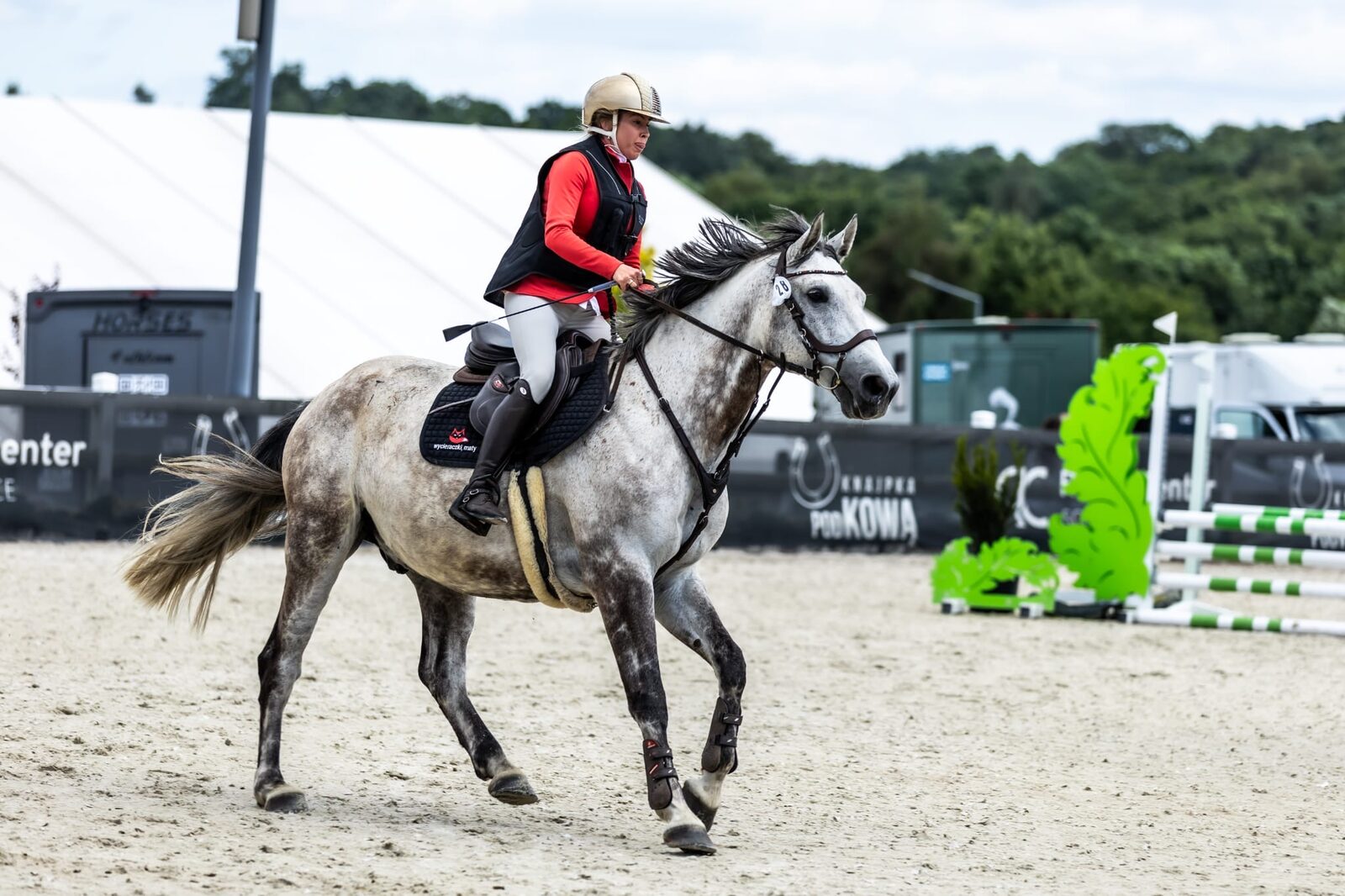 Zawody jazdy konnej w RC Riding Center Sosnowice – koń Kasparon w barwach marki Olomat