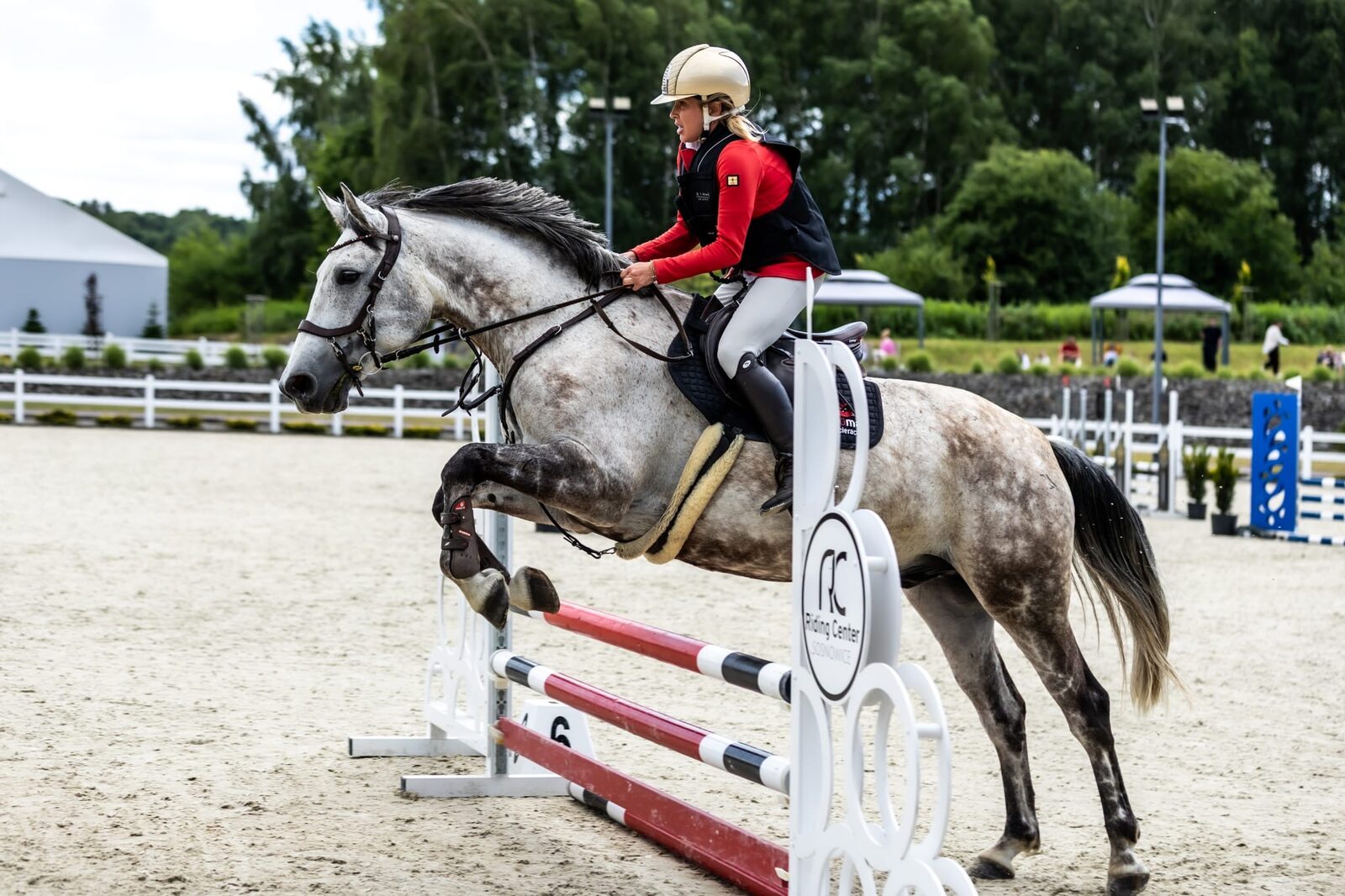 Zawody jazdy konnej w RC Riding Center Sosnowice – koń Kasparon w barwach marki Olomat