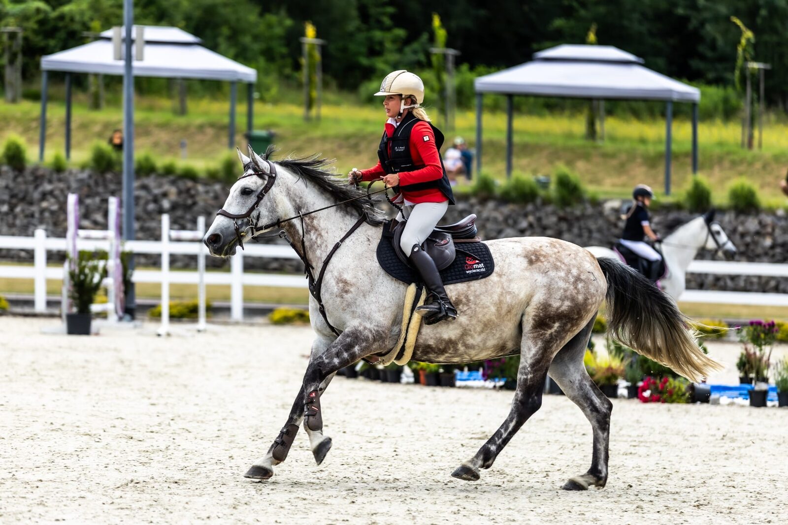 Zawody jazdy konnej w RC Riding Center Sosnowice – koń Kasparon w barwach marki Olomat