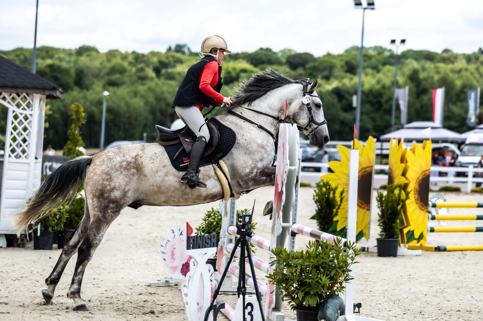 Zawody jazdy konnej w RC Riding Center Sosnowice – koń Kasparon w barwach marki Olomat