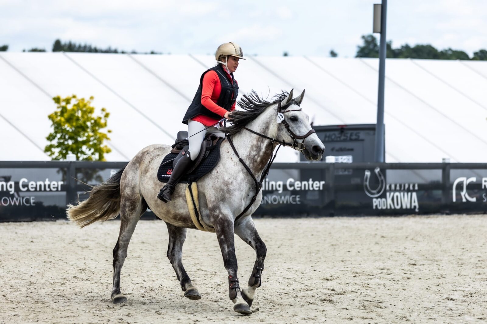 Zawody jazdy konnej w RC Riding Center Sosnowice – koń Kasparon w barwach marki Olomat