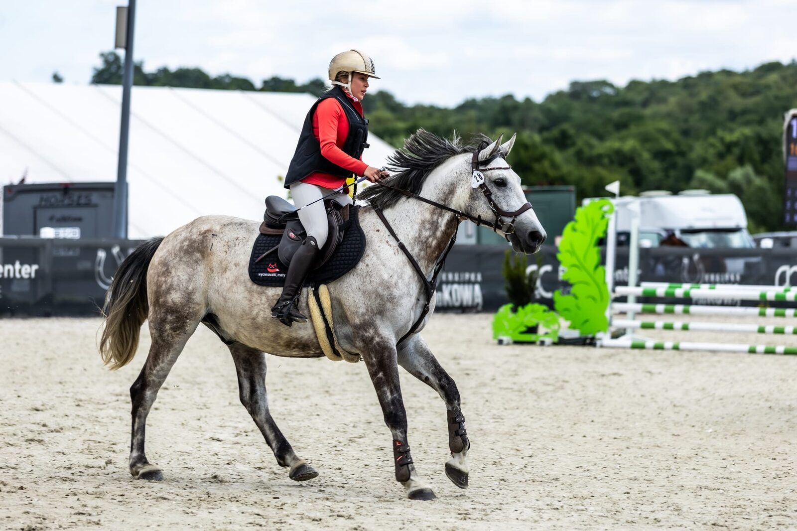 Zawody jazdy konnej w RC Riding Center Sosnowice – koń Kasparon w barwach marki Olomat