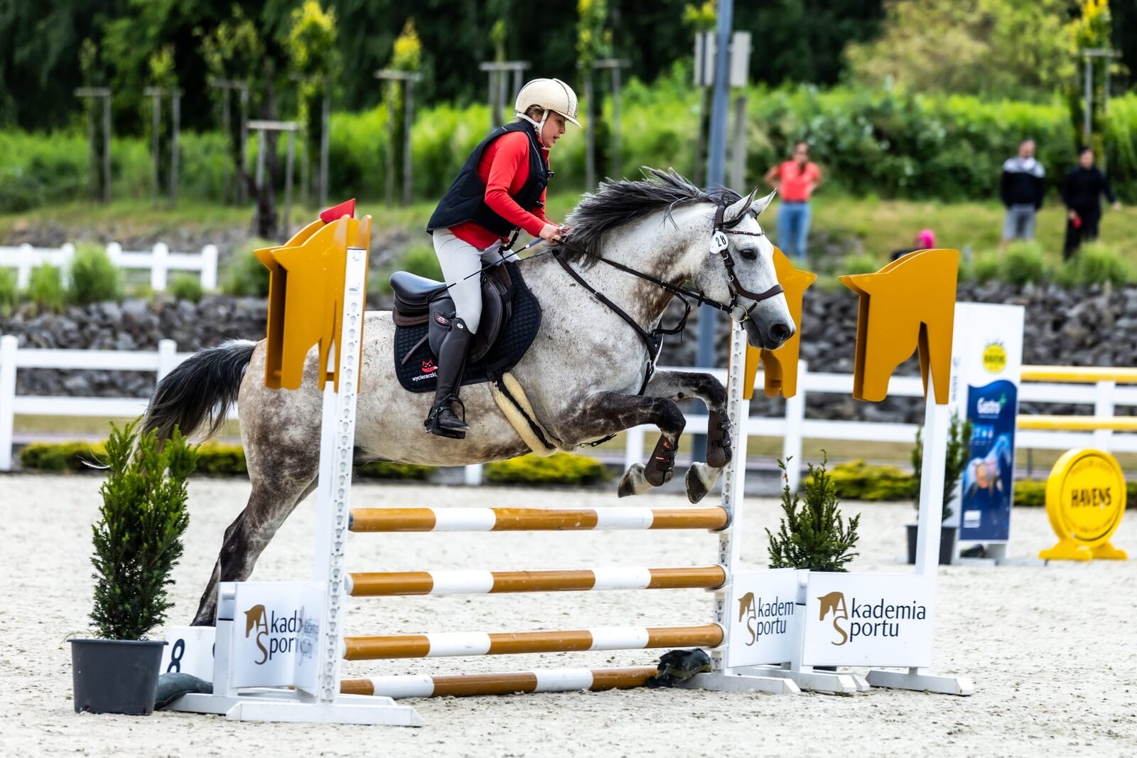 Zawody jazdy konnej w RC Riding Center Sosnowice – koń Kasparon w barwach marki Olomat