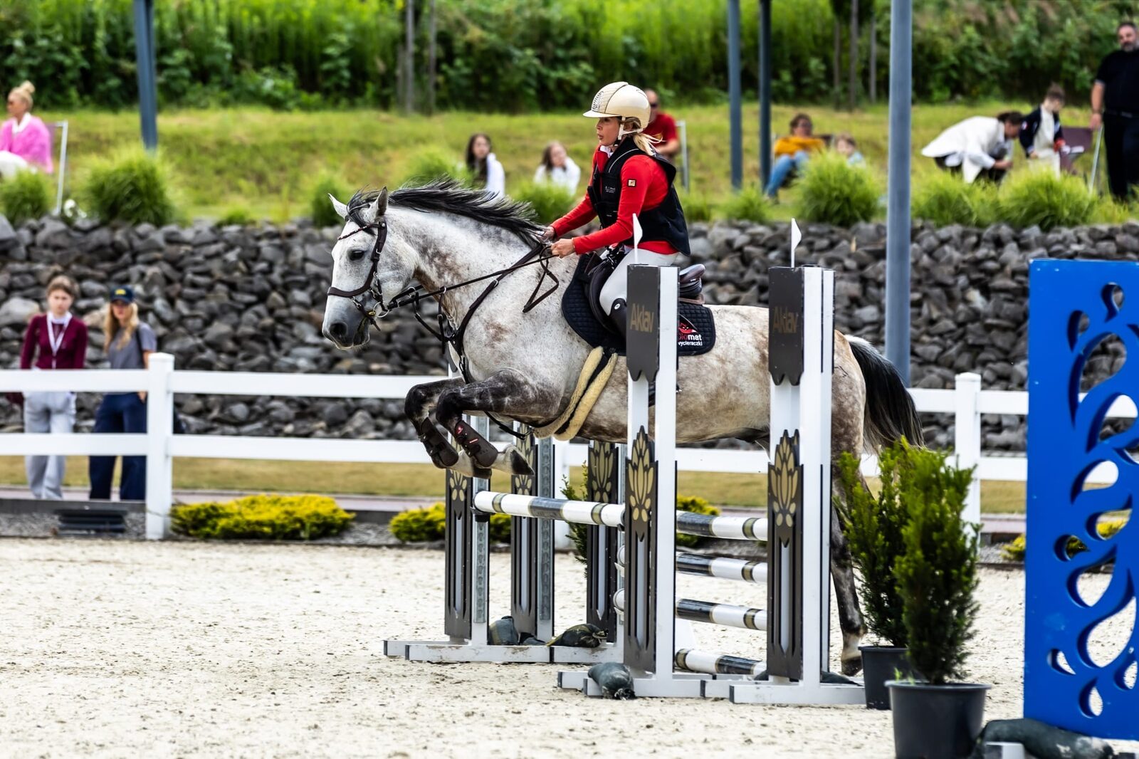 Zawody jazdy konnej w RC Riding Center Sosnowice – koń Kasparon w barwach marki Olomat
