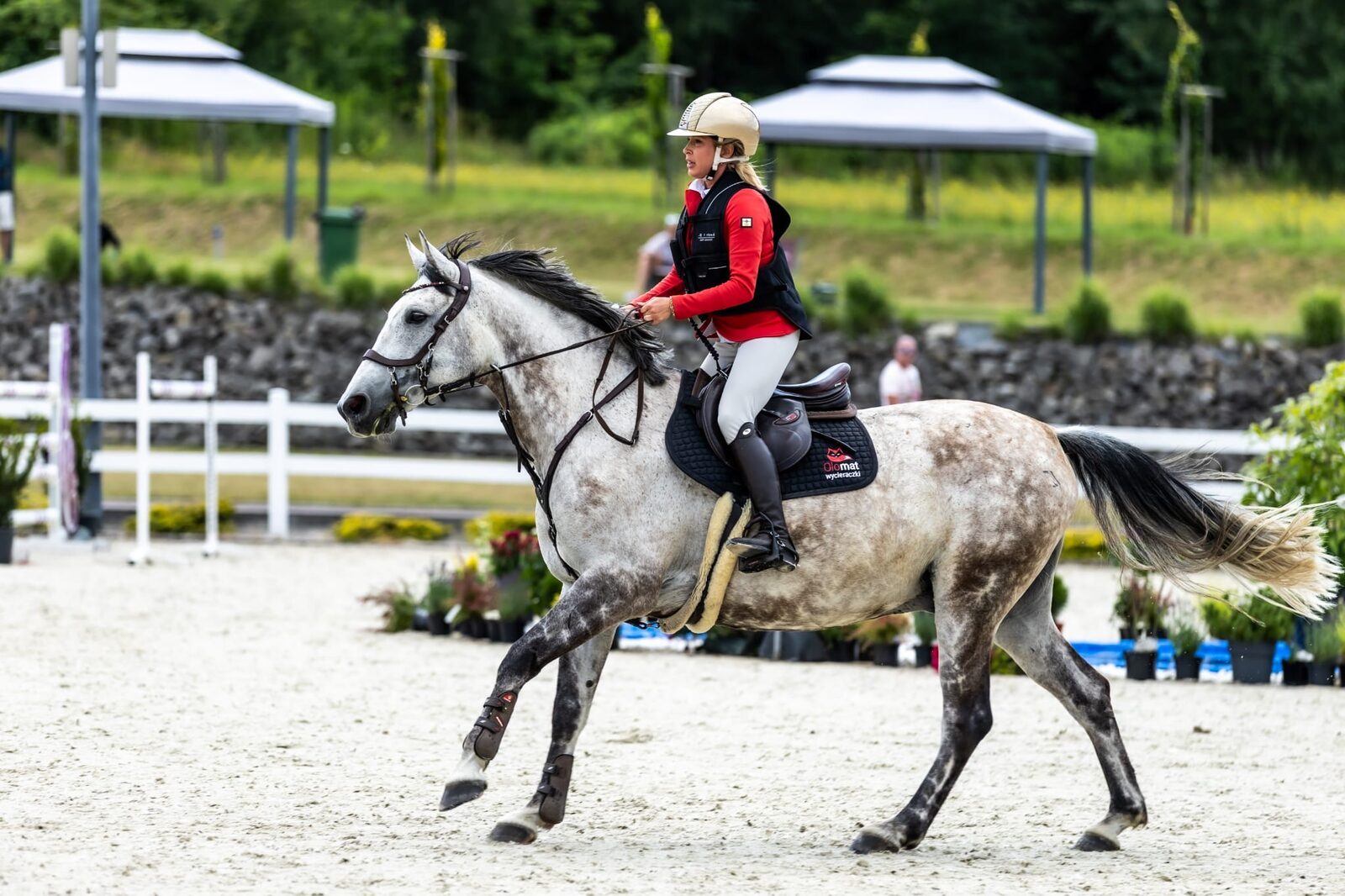 Zawody jazdy konnej w RC Riding Center Sosnowice – koń Kasparon w barwach marki Olomat